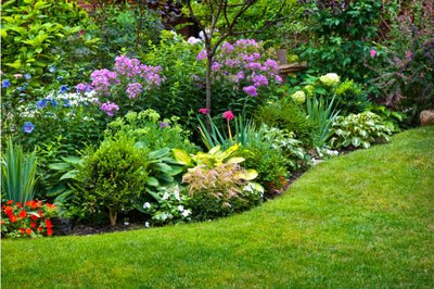 Landscape & Lawn Care San Diego in University City - San Diego, CA Landscaping