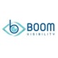 Boom Visibility in Media, PA Web-Site Design, Management & Maintenance Services