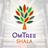 OmTree Shala in Lawrence, KS