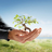 Premier Arbor Services in Locust Grove, VA