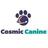 Cosmic Canine Training in Plano, TX