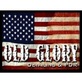 Old Glory Detailing and Paintless Dent Repair in Pennington, NJ Auto Customizing