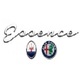 Essence Maserati Alfa Romeo in Hurst, TX Cars, Trucks & Vans