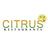 Citrus in New Windsor, NY