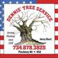 Dennis Tree Service in Montevallo, AL Tree & Shrub Transplanting & Removal