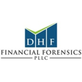 DHF Financial Forensics PLLC in Lehi, UT Financial Insurance