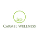 Carmel Wellness in Carmel, IN Chiropractor