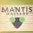 Mantis Massage in Austin, TX