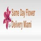 Same Day Flower Delivery Miami in Miami, FL Florists