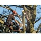 Kansas City Tree Removal Company in Central Business District-Downtown - Kansas City, MO Tree Services