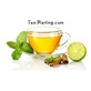 Tea Dieting in Fort Mill, SC Diet And Weight Reducing Centers