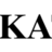 Katy Computer Systems in Chesterfield, MO