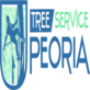 Tree Service Peoria in Peoria, AZ Tree Services