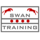 Swan Training in Wilsonville, OR Therapy Horseback Riding