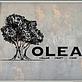 Olea. Cellar,Craft,Cook in Newport Beach, CA American Restaurants