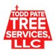 Marietta Tree Aces in Marietta, GA Tree Services