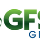 GFSC Group in McDonough, GA Computer Software & Services Business
