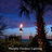 Murphy Outdoor Lighting | Landscape Lighting Hilton Head Island SC in Bluffton, SC 29910 Lighting Fixtures & Supplies