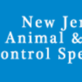 Affordable Bed Bug Removal Specialists in North Broadway - Newark, NJ Pest Control Services