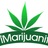 iMarijuanit in San Diego, CA