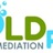 Mold Remediation Pros in Atlanta, GA