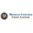 Michigan Consumer Credit Lawyers in Southfield, MI