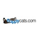 Floppycats in Kansas City, MO Cat Products Services & Cats