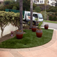 Sunburst Landscaping in Capistrano Beach, CA Landscaping