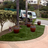 Sunburst Landscaping in Capistrano Beach, CA