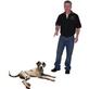Canine Companions in Sussex, NJ Dog Training & Obedience Schools