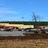 Agri Supply of Garner, NC (Agri Supply in Garner, NC
