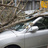 State Farm: Claudia Phillips in Carlsbad, NM