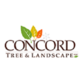 Concord Tree and Landscape in Bolton, MA Lawn & Garden Care Co