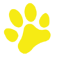 Pet Grooming - Services & Supplies in Crestview - Austin, TX 78752