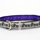Mackenzie Couture Accessories in North Reading, MA Pet Care Services