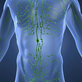 Natural Paths for Lymphatic Wellness in Aurora, IL Alternative Medicine