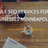 BMP SEO Consulting & Video Marketing in New Brighton, MN