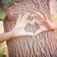 Tree Services in Deer Park, TX 77536