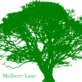 Mulberry Lane Advisors in Matawan, NJ Finance