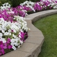My Lawn Care & Landscaping in Williamstown, NJ Gardening & Landscaping