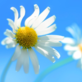 Agricultural Insurance in Greenville, SC 29602