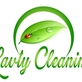 Latvy Cleaning in Carmel Valley - San Diego, CA Carpet Cleaning & Repairing