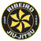 Ribeiro Jiu-Jitsu La Quinta in La Quinta, CA School Martial Arts