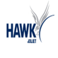 Hawk Chevrolet of Joliet in Joliet, IL Auto Repair