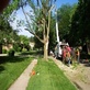 Tree Service Dayton OH in Centerville, OH Lawn & Tree Service