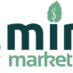 Mint Marketing in Hudson, WI Internet Marketing Services