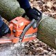 Southern Maryland Fellers Tree Service in California, MD Lawn & Tree Service