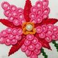 Embroidery in New York, NY 11418