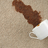 Taylor Carpet Cleaning in Mira Mesa - San Diego, CA