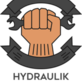 Hydraulik-Instalator-Poznan in Valrico, FL Accountants Business
